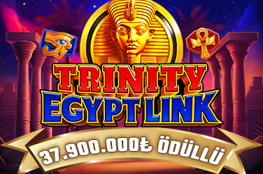 TRINITY EGYPT LINK